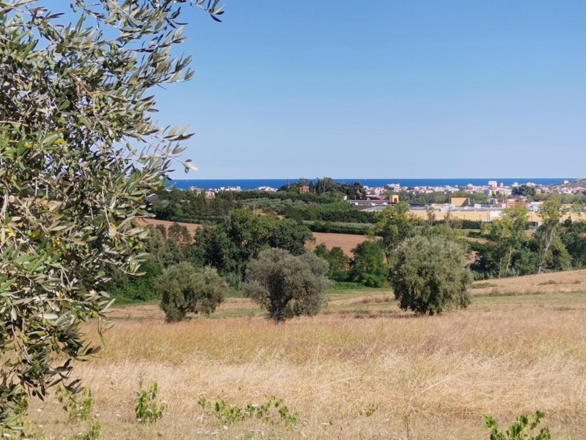 Residence Il Villaggio Del Re Corropoli ภายนอก รูปภาพ
