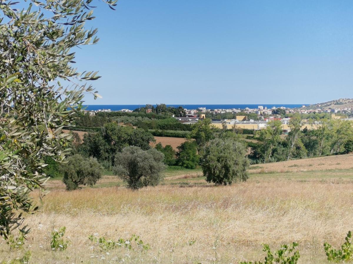 Residence Il Villaggio Del Re Corropoli ภายนอก รูปภาพ