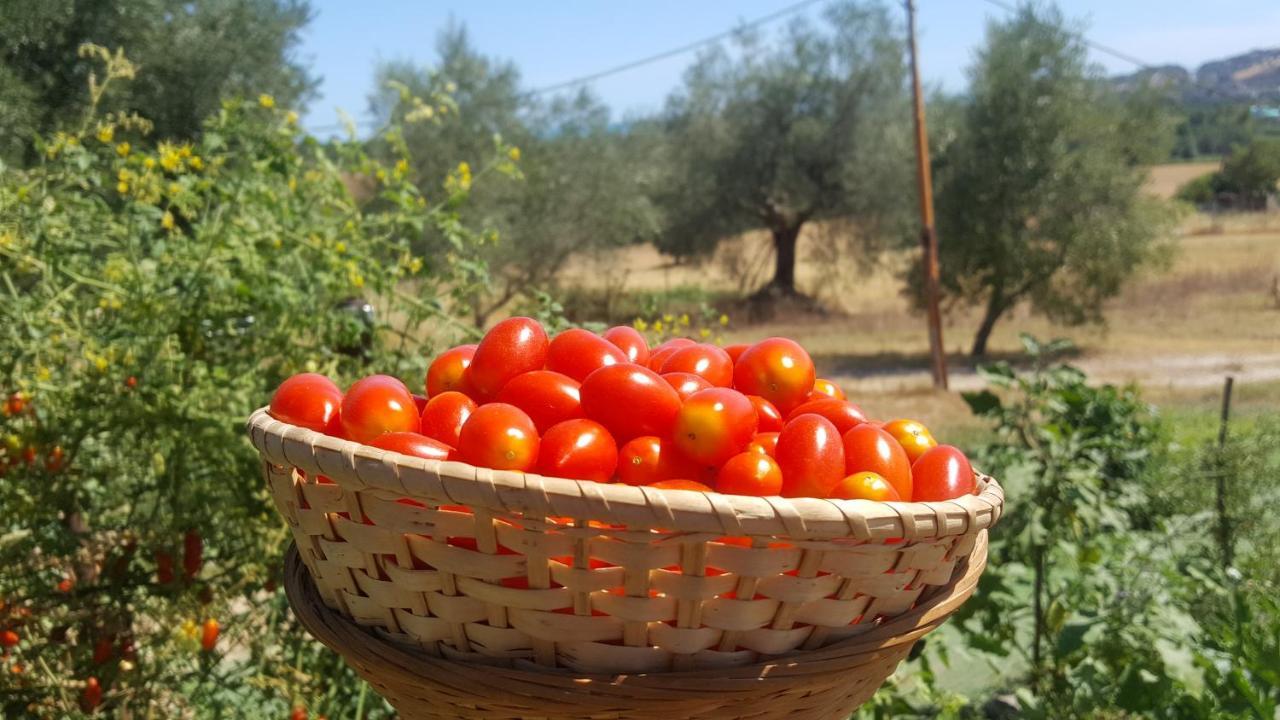 Residence Il Villaggio Del Re Corropoli ภายนอก รูปภาพ