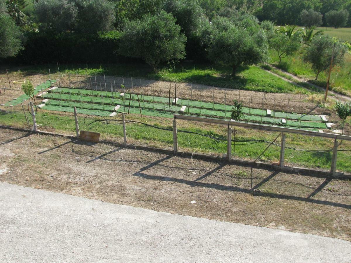Residence Il Villaggio Del Re Corropoli ภายนอก รูปภาพ
